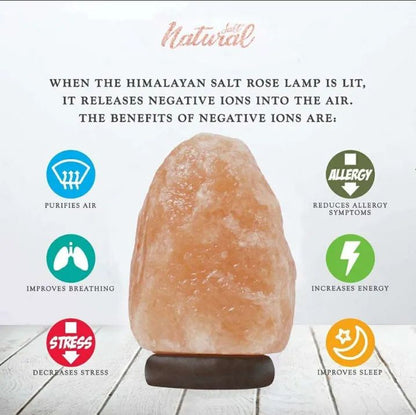 Salt Lamp USB Himalayan for Home Decor Natural Pink Rock Salt Lamp Night Light with Salt Lamp Bulb for Asthma and Allergy Relief Air Purifying Crystal Lamp to Clean Room Atmosphere and Improve Air Quality